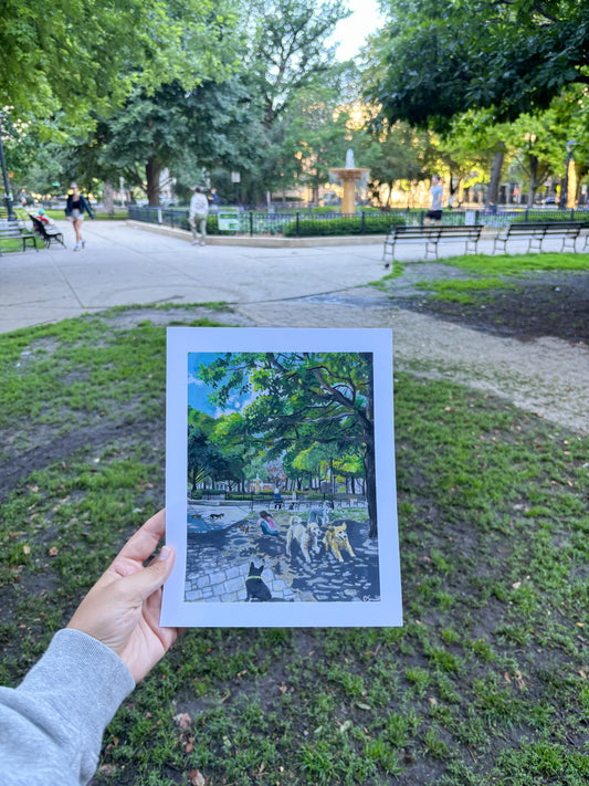 Washington Square Park in the Summer