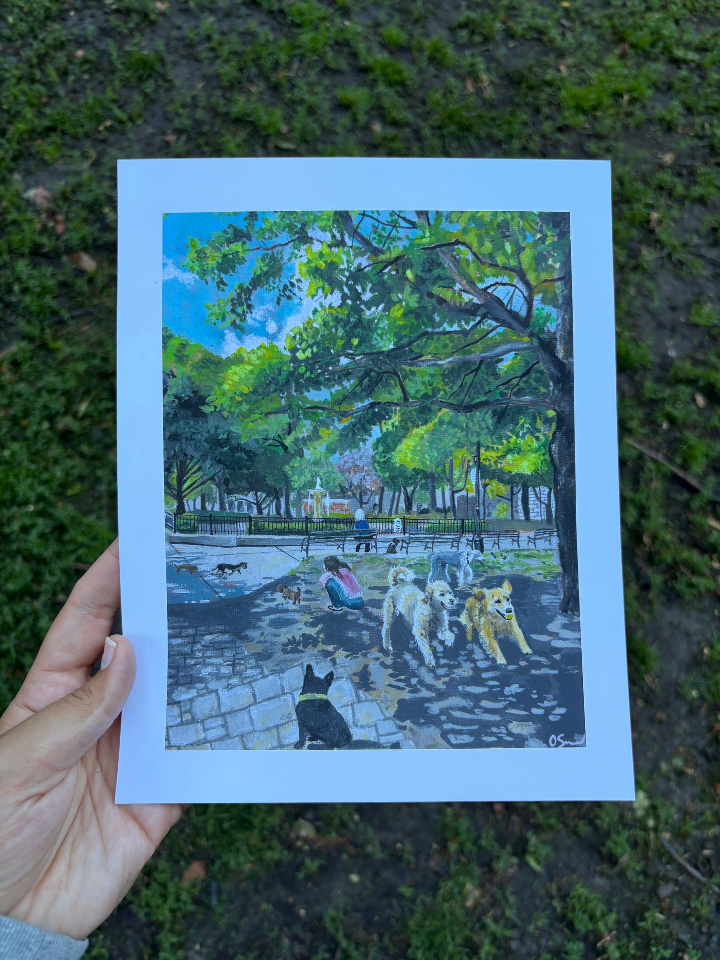 Washington Square Dog Park in the Summer Print